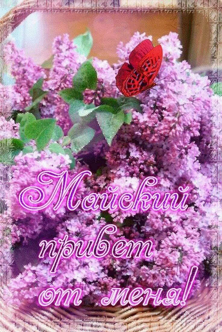 Гифки прекрасного майского дня. Прекрасного майского дня сирень. Прекрасного дня гифки. Открытки доброе утро весенние. Открытка "хорошего настроения".