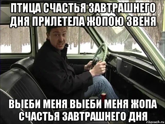 Птица счастья завтрашнего дня мем Птица счастья завтрашнего видео