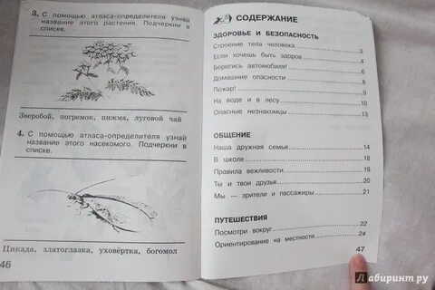 Тетрадь для тренировки и самопроверки