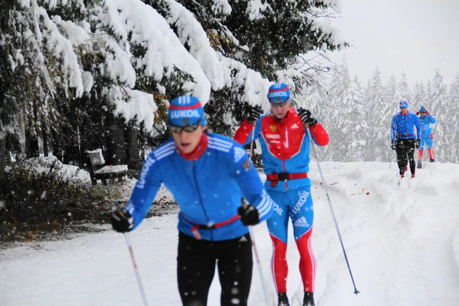 тренировки по лыжным гонкам. тренировки по лыжным гонкам. тренировки по лыжным гонкам. тренировки по лыжным гонкам. лыжные гонки fischer.