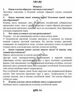 Какие ткани образуют листовую пластинку у сирени