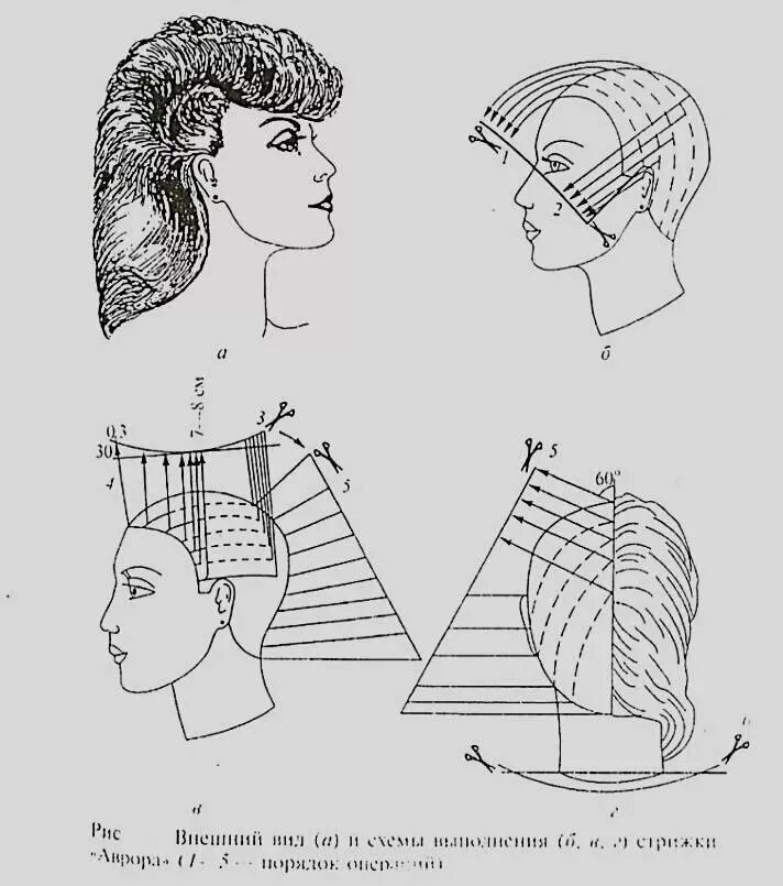 Стрижка на средние волосы схема. Стрижка итальянка схема. Схема стрижки Каскад на короткие волосы. Гаврош стрижка техника стрижки.