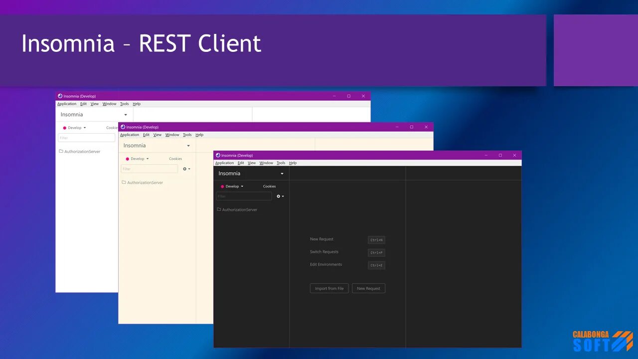 Insomnia rest. Insomnia rest client. Insomnia программа для тестирования. Rest client Windows. Rest клиент