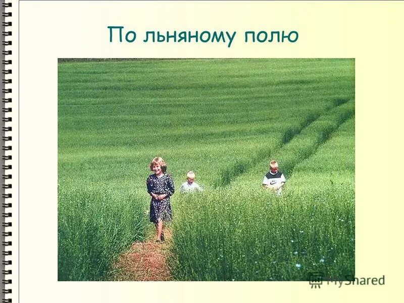 ветер счастья. русское поле стих. любовь к природе. стих александра александровича блока летний вечер. стихотворение блока летний вечер.