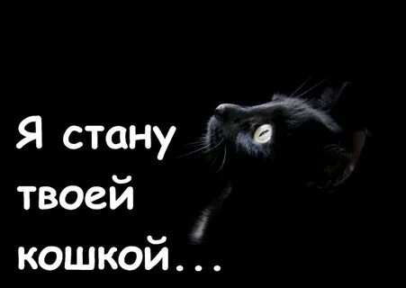 Песня котенок мой я по тебе скучаю