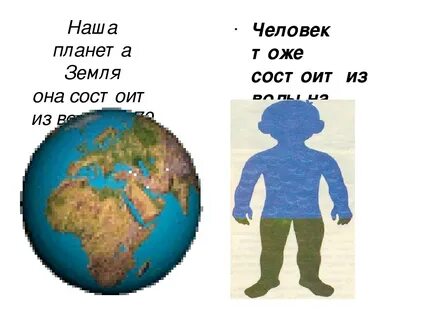 Сколько процентов земли на планете земля