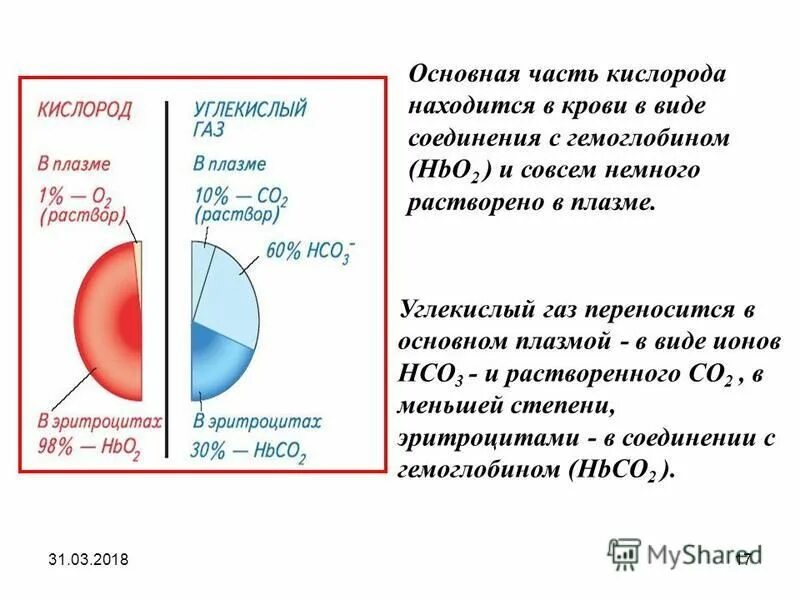 транспорт газов в кровь , внешнее дыхание. газообмен и транспорт газов. газообмен и транспорт кислорода. транспорт газа кровью. благодаря чему осуществляется газообмен в альвеолах.