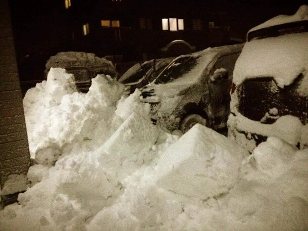 Засыпаны снегом ели. Снегопад в Ниигата. В Японии выпал снег. Япония 25 метров снега. В Америке 2 метра снегопад.