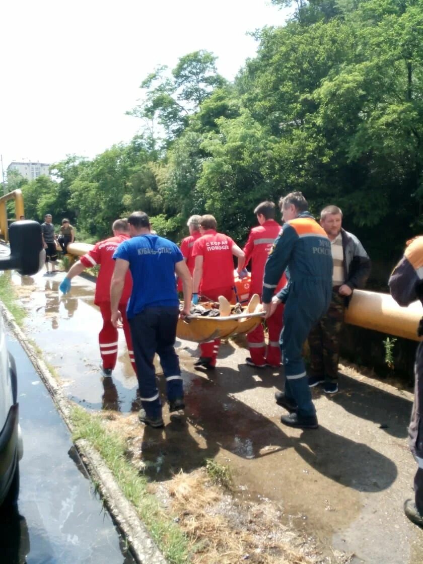 Упала сочи. Несчастный случай в сочи парке. Сочи упал кипарис и перегородил ул. Сочи. Аварии на сочинском серпантине.