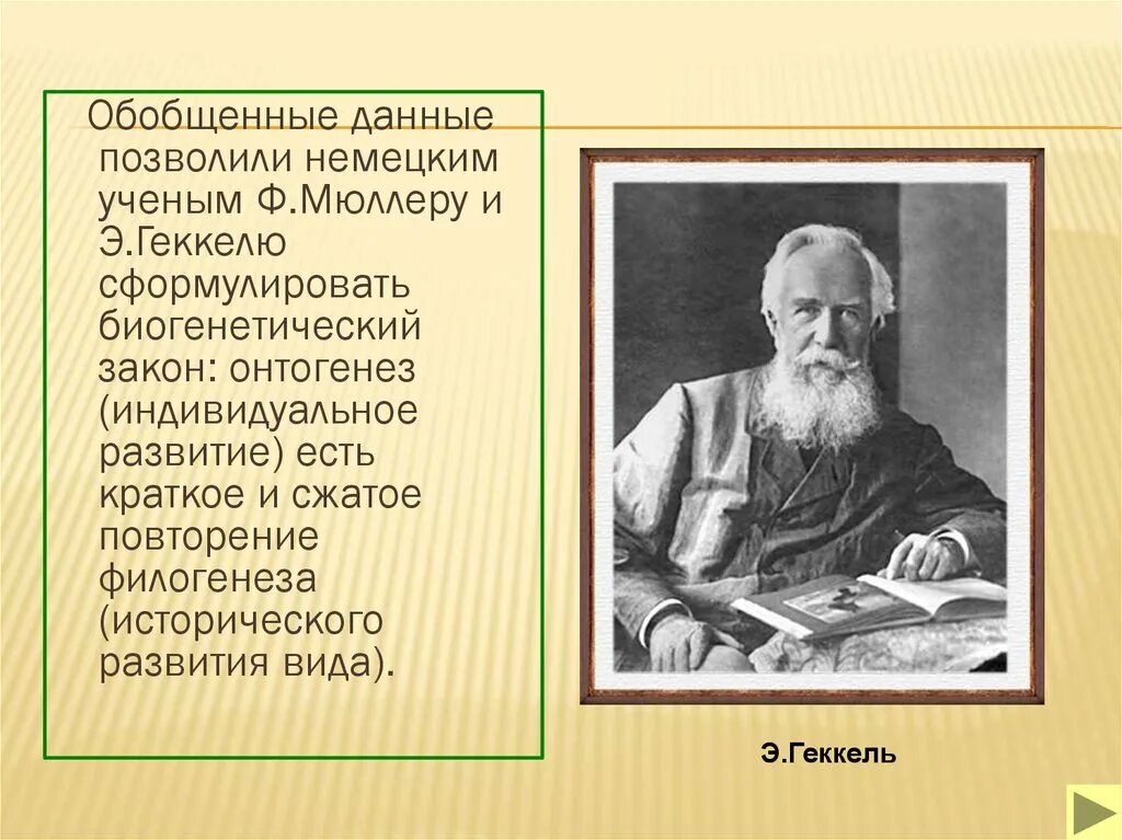 Онтогенез есть повторение филогенеза. Биогенетический закон э Геккеля. Биогенетический закон Геккеля Мюллера. Биогенетический закон - ф. Мюллер (1864) и э. Геккель (1866). Мюллер Геккель Северцов.