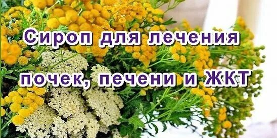 Народный способ лечения печени. Лечебный сироп для печени, почек и жкт. тысячелистник.