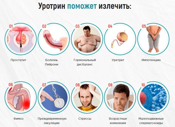 Вылечил простатит форум. Уротрин. уротрин для простатита. препарат для мужчин уротрин. как излечить импотенцию.