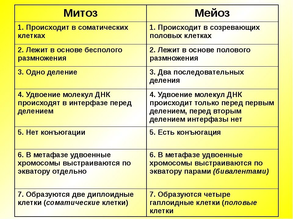 Отличие митоза от мейоза. Деление клетки таблица. деление клетки митоз и мейоз таблица. деление клетки митоз и мейоз кратко. сравнительная характеристика процессов амитоза митоза мейоза.