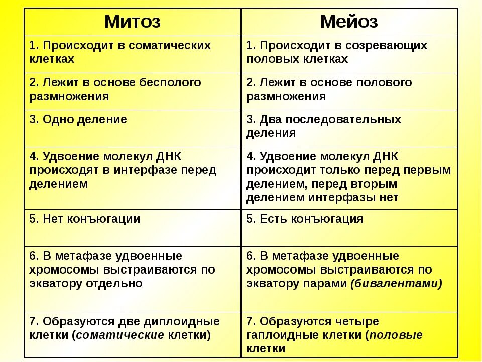 Сравнение митоза и мейоза таблица. Деление клетки таблица. Деление клетки митоз и мейоз таблица. Деление клетки митоз и мейоз кратко. Сравнительная характеристика процессов амитоза митоза мейоза.