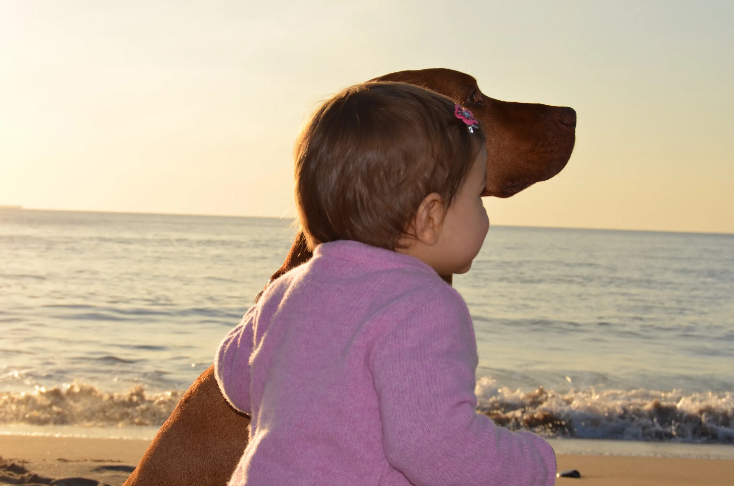 Человек ребенок собака. Собака для детей. Ребенок с собакой на море. Малыш и собака. Дети пиксабай.
