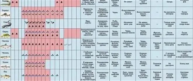 Таблица клева хариуса. Рыболовный календарь на хариуса. Календарь клева хариуса в Пермском крае. Благоприятные дни для рыбалки на хариуса.
