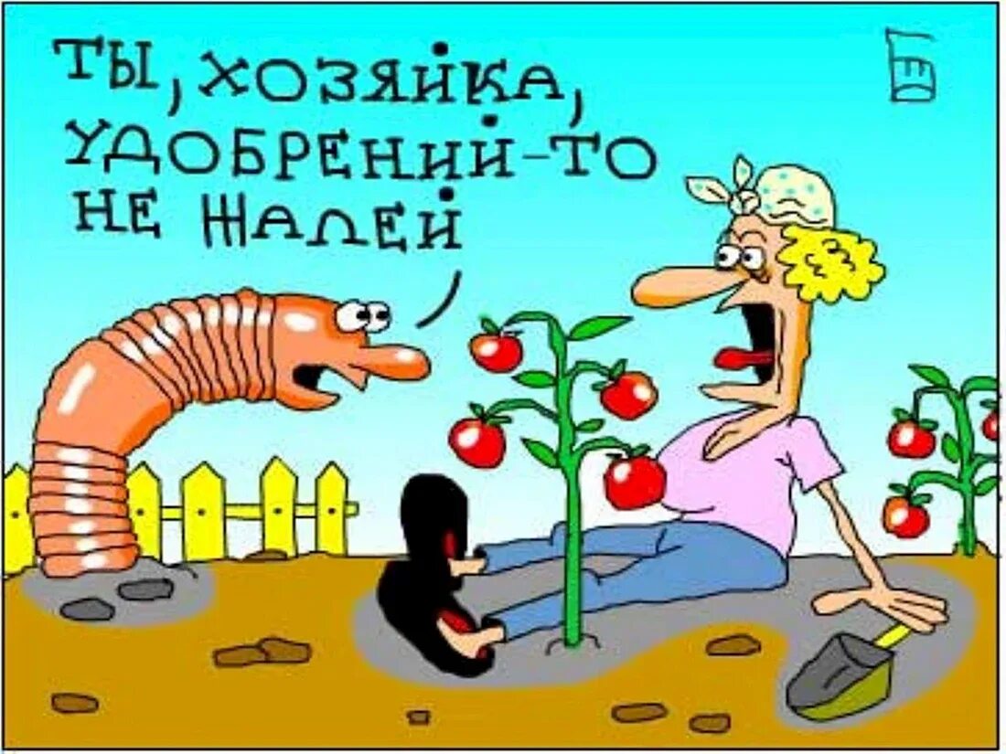 Приколы про огород. Шутки про дачников и огородников. Дача карикатура. Анекдоты про дачу в картинках. Юмор про огород.