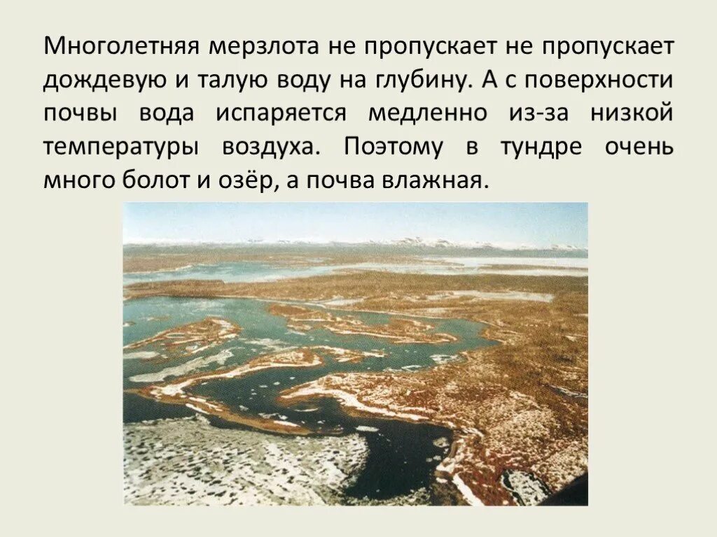 Воды тундры в россии. Многолетняя мерзлота в тундре. Водоемы тундры. Реки и озера тундры России. Река в тундре.