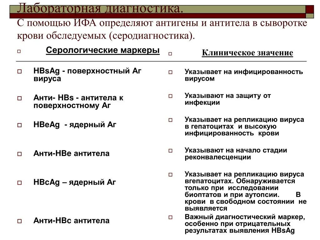 Вгв расшифровка. Антигены и антитела вирусных гепатитов. Антитела к антигену гепатита в. Антигены и антитела вируса гепатита в. Антитела к вирусному гепатиту с.