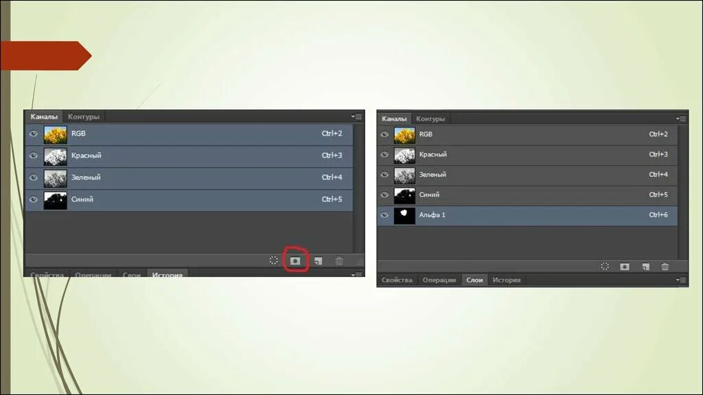 Шелтер поменять цвет поменять категорий номеров. Альфа изменить категорию. Как сменить пароль в приложении альфа банка. Альфа изменить категорию. Какие категории кэшбэка будут у альфа банка.