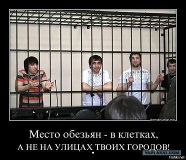 Таджики мрази