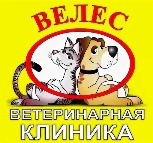 Ветклиника ухта телефон. Республика коми ухта проспект ленина 79 ветдоктор. Рекламный баннер ветеринарной клиники. Ленина 79 ухта ветклиника. Ветдоктор ухта ленина.