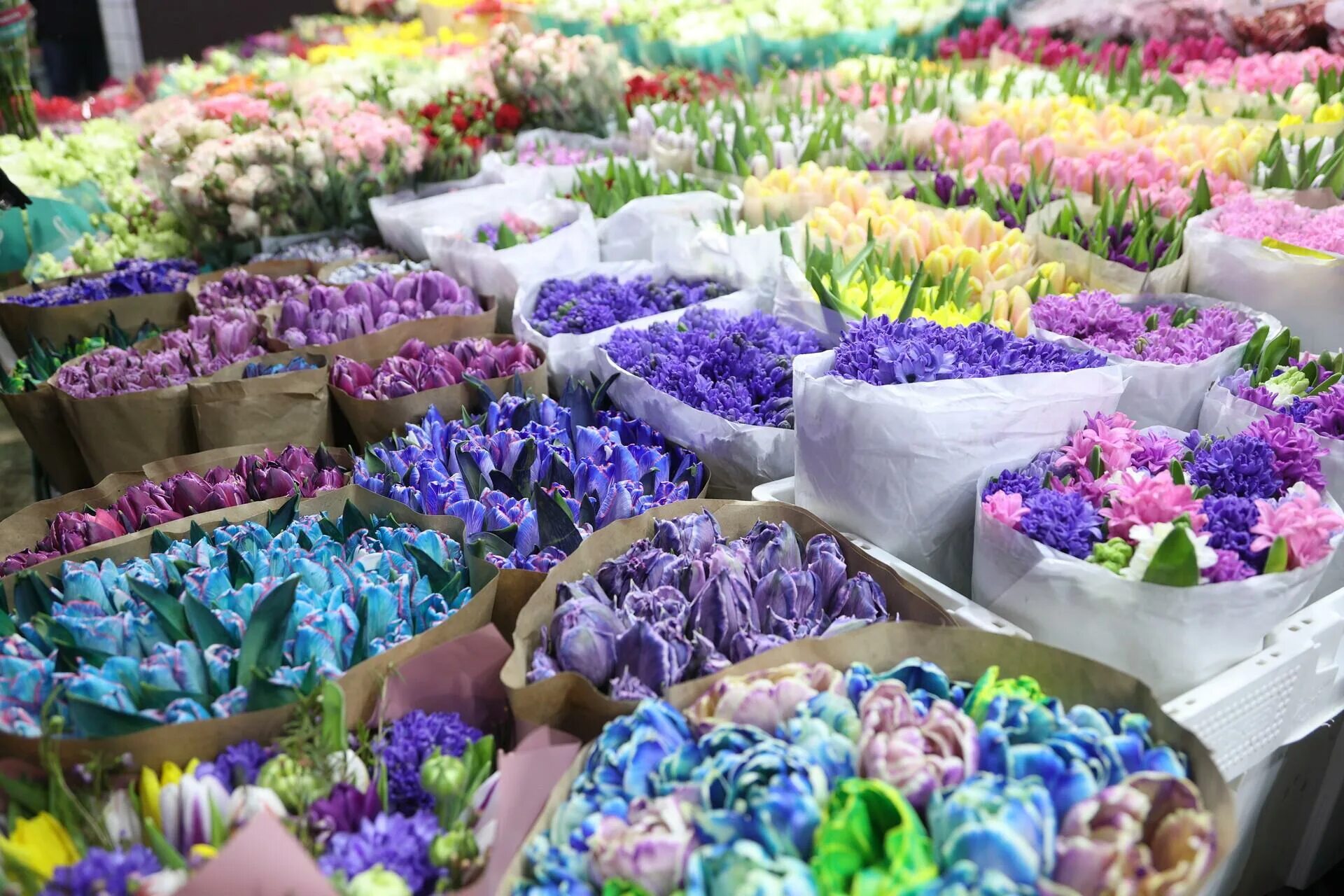 Рижский рынок цены на цветы 2024. Рижский рынок хризантемы. Рижский рынок цветов. Рижский рынок цветы. Рижский цветочный Ранок.
