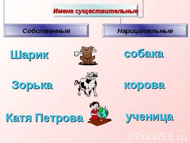 Собственные и нарицательные существительные. Имена собственные и нарицательные. Собственные и нарицательные имена существительные. Имя существительное имена собственные. Приведи пример собственных существительных