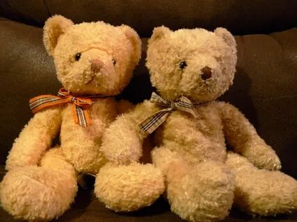 These teddy bears