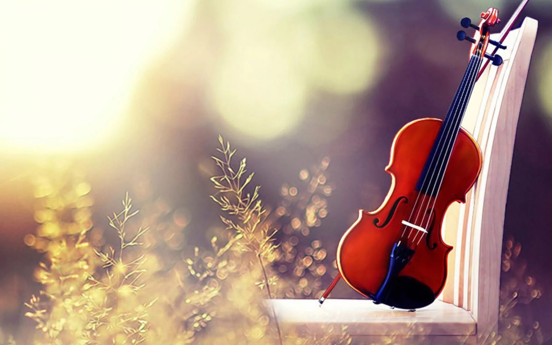 Красивая мелодия спокойная музыка. Красивая скрипка. Скрипка фон. Скрипка на красивом фоне. Скрипка на природе.