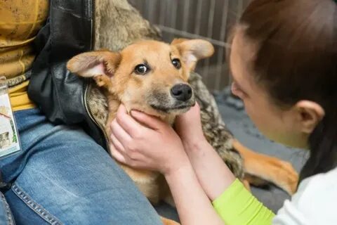 Жизнь заботам на их