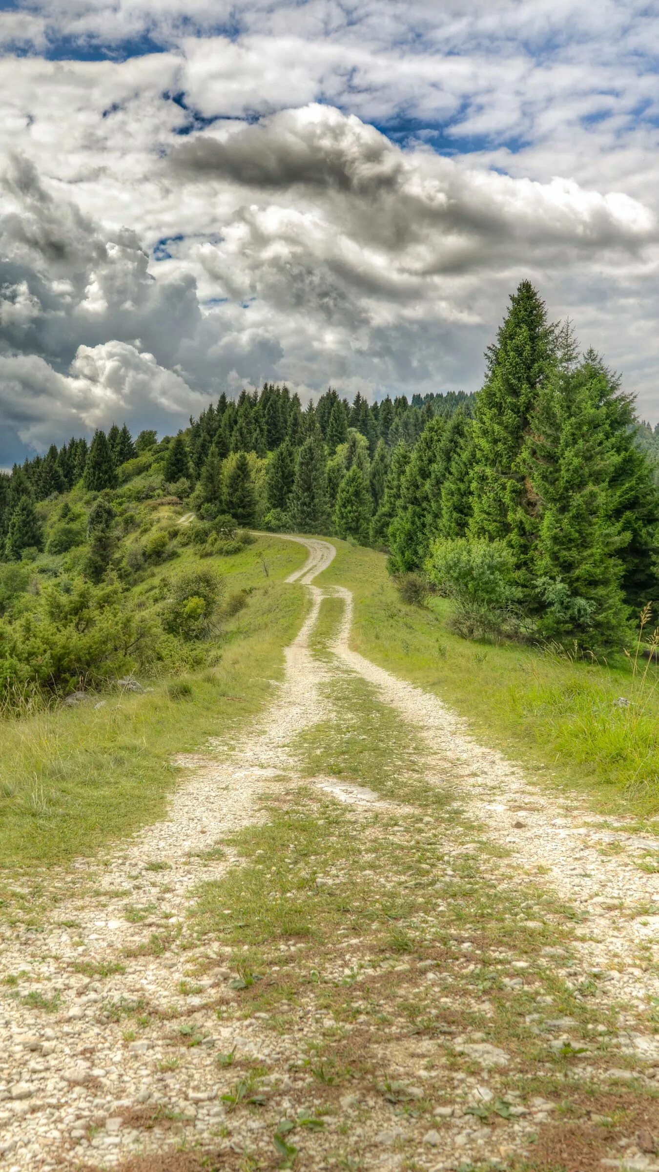 Проселочная лесная дорога. Лесные дали природа. Лес вдали. Обои на рабочий стол 1920х1080 дорога. Тропинка.