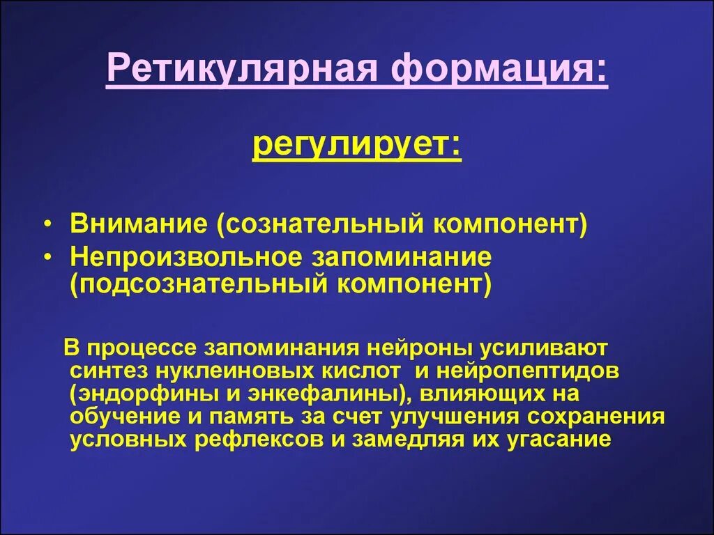 Ретикулярная формация и внимание. Ретикулярная формация регулирует. Роль ретикулярной формации. Методы исследования ретикулярной формации.