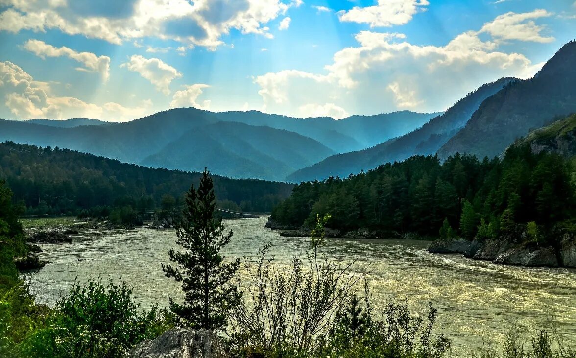 Сайт алтай край. Горный Алтай р Катунь. Горы Алтая Катунь. Горы Алтая Чемал. Река Катунь Алтайский край.