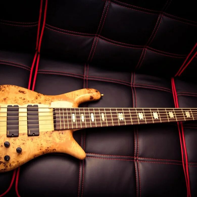 Spector. Spector euro lx. spector euro bass. spector гитара. spector bass czech.