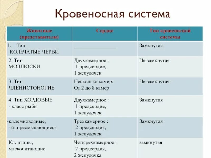 Таблица тип животных наличие кровеносной системы. Типы кровеносных систем у животных. типы кровеносных систем у животных таблица. типы кровеносной системы таблица. кровеносная система животных.