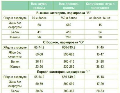 1 яйцо содержит белка