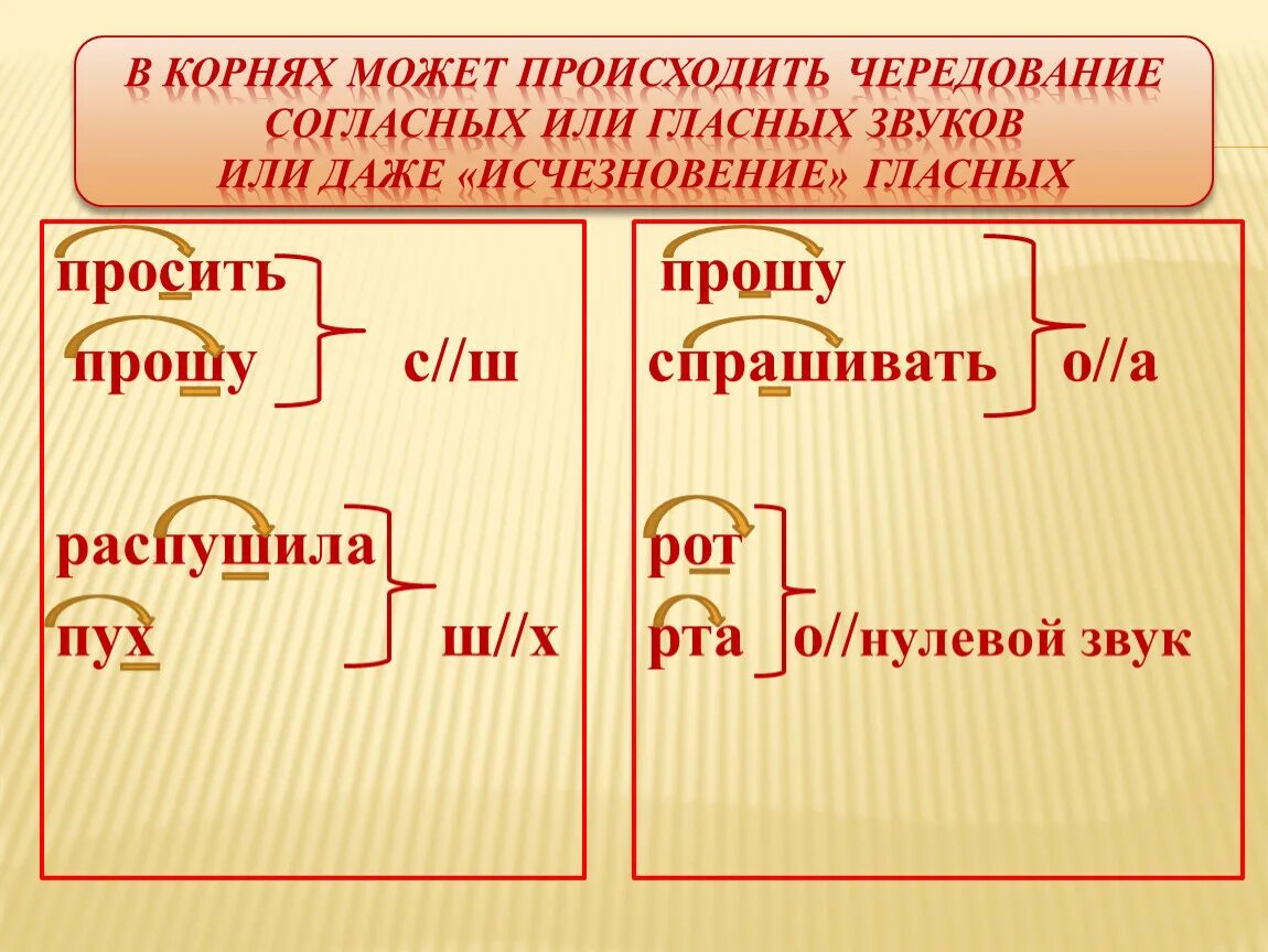 Соединение корень слова. Чередование согласных в корне. Корень слова с чередованием согласных. Просит корень слова. Слайд чередование согласных звуков в корне.