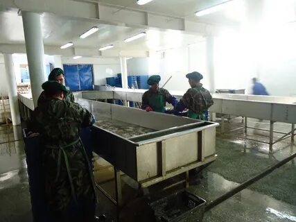 Спк рк