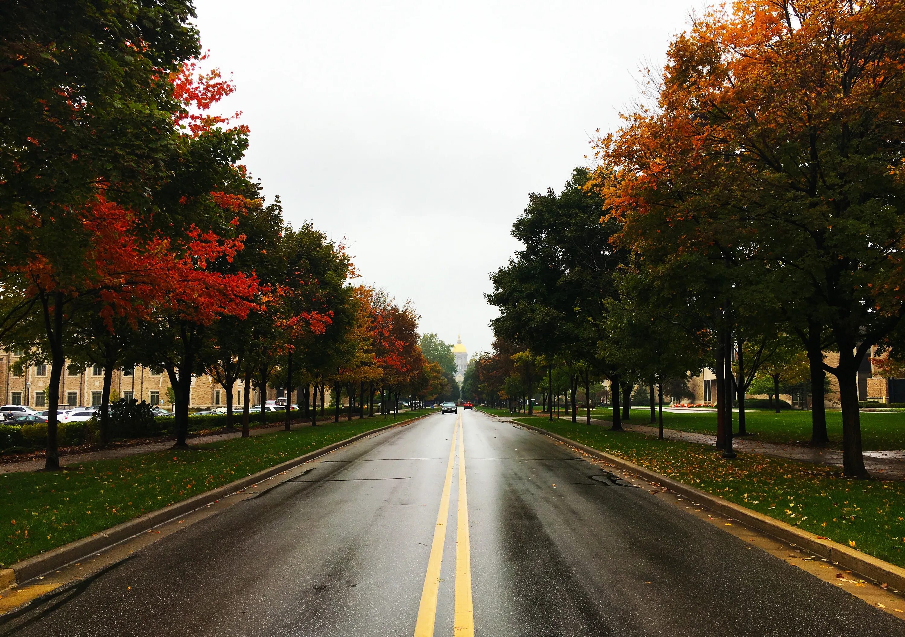 Осенняя дорога. Дорога в городе. Осень в городе. Осень город дорога. Street trees