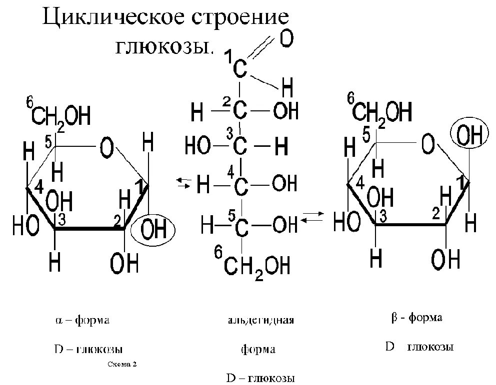 Строение Глюкозы структурная формула. Строение Глюкозы формула. Структура формула Глюкозы. Глюкоза формула химическая структура. Линейная формула глюкозы