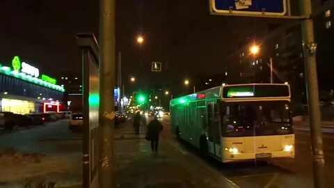 98 автобус спб