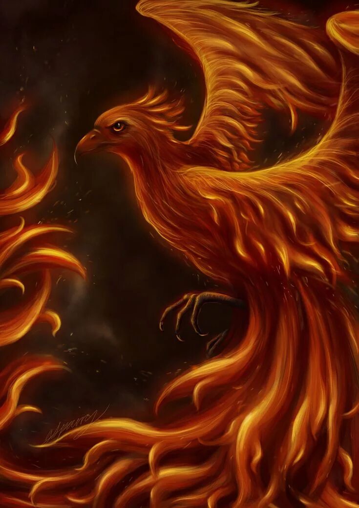 Феникс phoenix. Огненная птица Рарог. Огненная птица Рарог в славянской мифологии. Мифические существа птица Феникс. Феникс фэнтези мифическое существо.