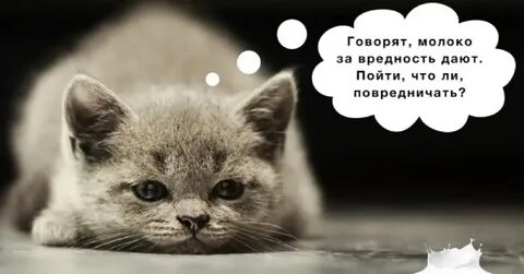 Вредность со