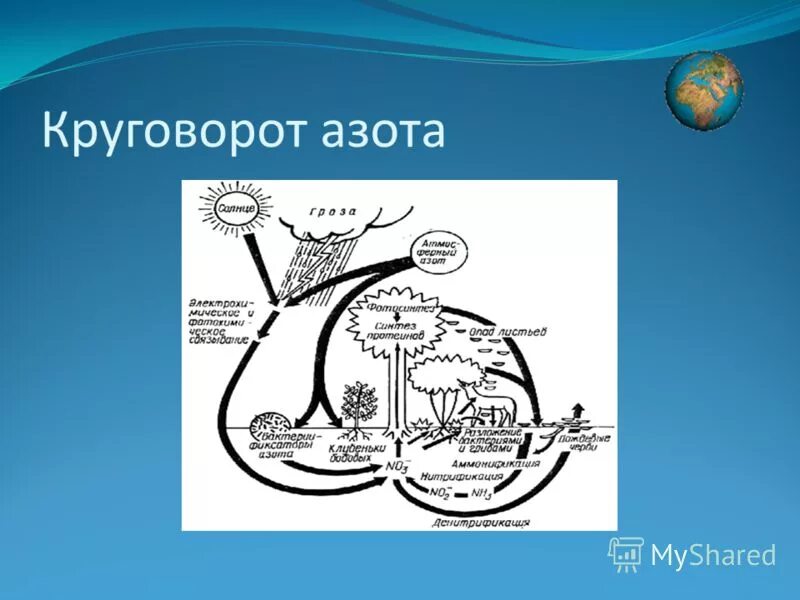 Опишите круговорот азота в природе. Круговорот азота. Круговорот азота в природе. Круговорот азота в природе схема. Круговорот веществ в природе азот схема.