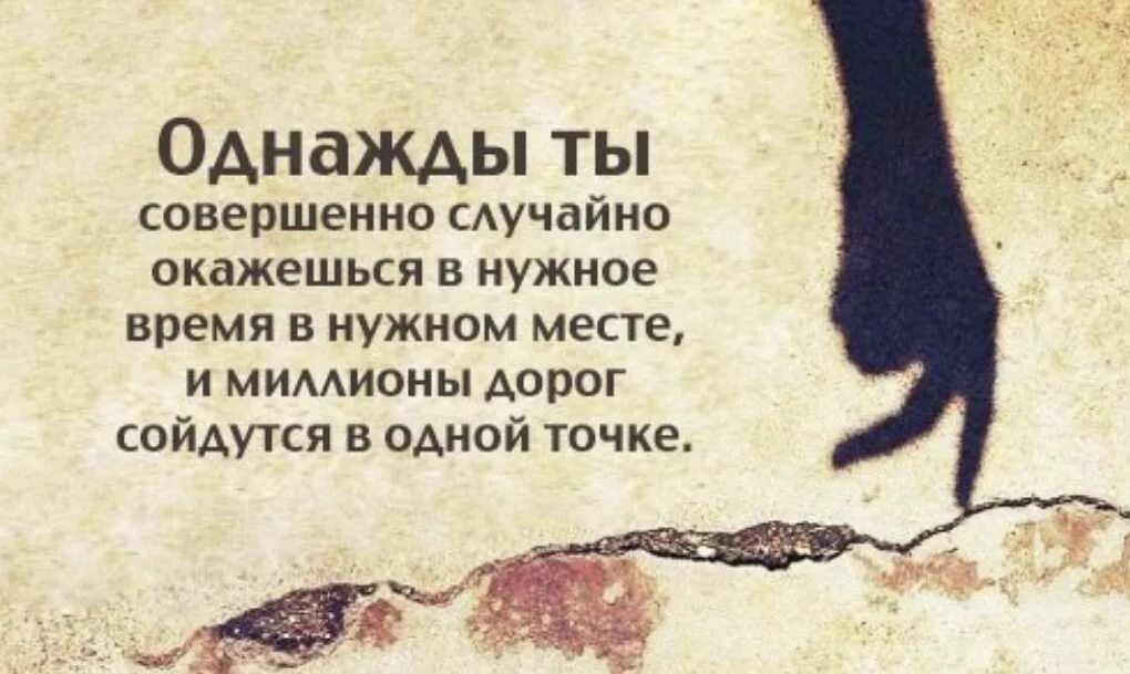 Кто для радости беспечной кто для ночи бесконечной. Все люди делятся на два типа одни с тобой при определенных условиях. Оказывается что при определенных. Отв. Мужчины без женщин.