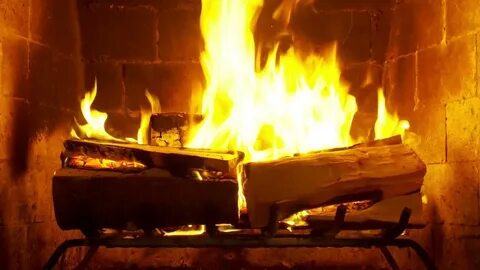 Feu de