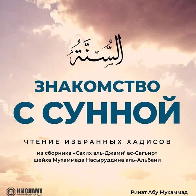 Сахих аль джами. Сунна. «Сахих Аль-Джами’ АС-сагъир», 248 az. Мобили исламские.