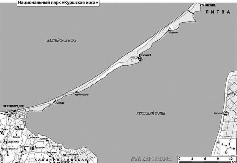 Куршская коса на карте. Залив Куршская коса на карте. Национальный парк Куршская коса схема. Национальный парк Куршская коса на карте. Какова общая протяженность балтийской косы в километрах