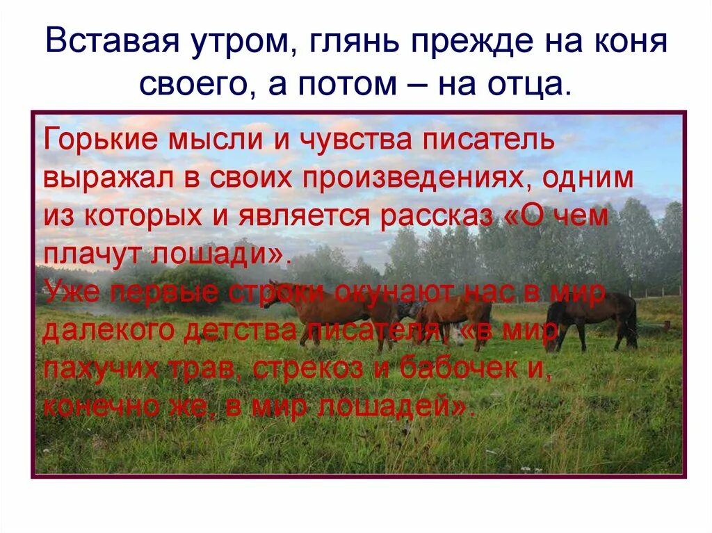 О чем плачут лошади очень краткое содержание. О чём плачут лошади Абрамов. Тема о чём плачут лошади. Ф Абрамов о чём плачут. О чем плачут лошади: рассказы.